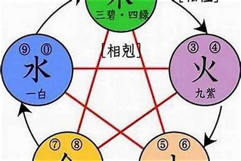 適合屬龍的公司名字|生肖属龙公司起名适合哪些字 带什么字好